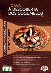 CAVA_A_DESCOBERTA_DOS_COGUMELOS_2018_cartaz